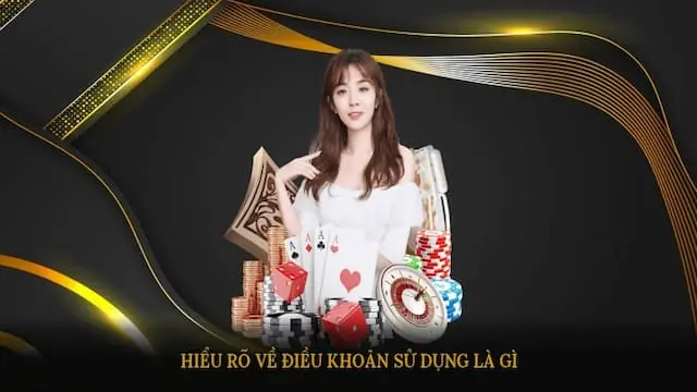 Nội dung chi tiết trong điều khoản điều kiện nohu