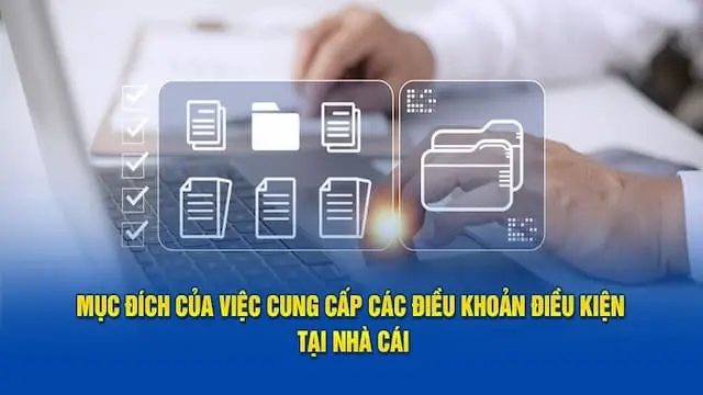 Vai trò của điều khoản điều kiện nohu